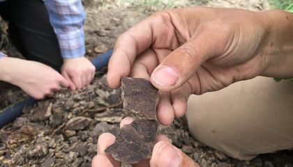 Древнее глобальное потепление нанесло ущерб лесам — предостережение для нынешнего изменения климата